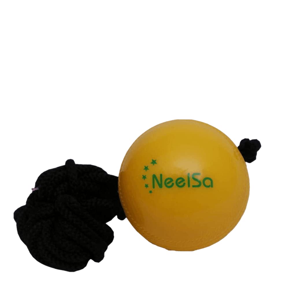 NeelSa Hanging Soft Ball for Indoor Cricket Practice (110g) (Pack of 2) (B09C6D4357) Amazon Price History, Amazon Price Tracker