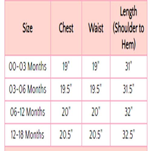 Embroidered Organza w/Sequins Long Christening Gown (White, 0-3 Months)