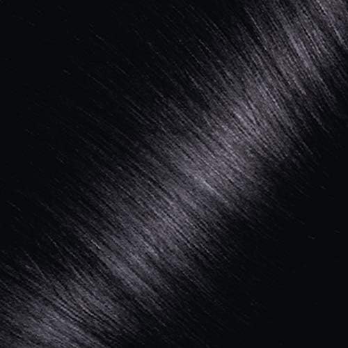 Garnier Nutrisse Ultra Blonde D+++ Bleach Maximum Lightener, For All Hair Types