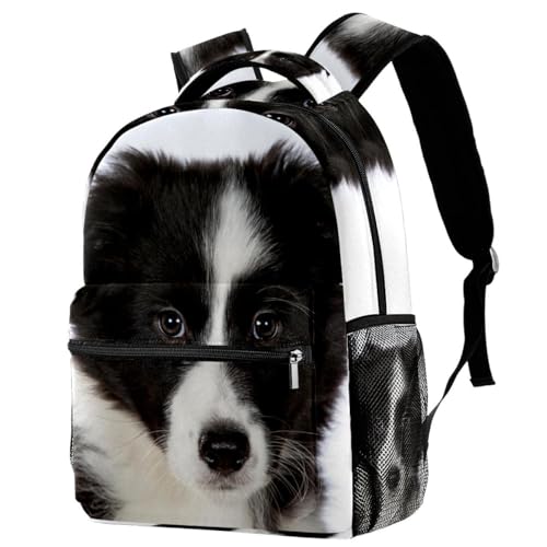 Sac à dos Border Collie multicolore pour école et voyage, dimensions 29x20x40cm