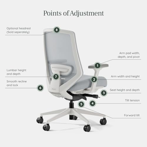 branch ergonomic chair pro