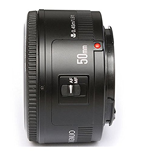 Lente Yongnuo 50mm f1.8 para Canon EOS - Fernando Cortés