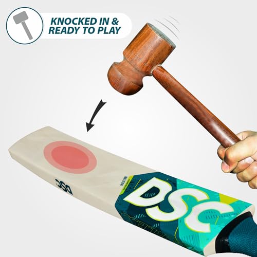 Image of DSC Belter Wood Kashmir Willow Cricket Bat Short Handle Mens (Multicolour)