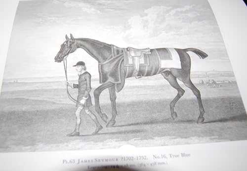 British Sporting and Animal Prints Cadeau Idéal Passionnés - 8