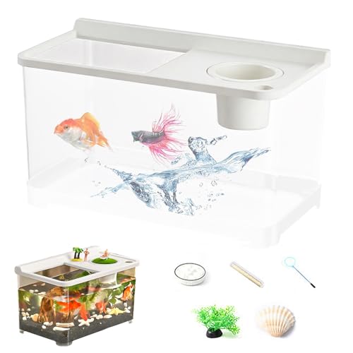 Acuario Betta con iluminación 3 colores – Acuario de alta transparencia – Visión 360° para oficina, salón, entrada, dormitorio, decoración del hogar