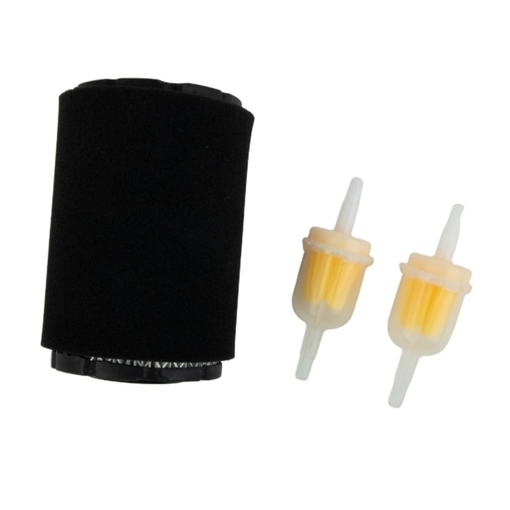 Kit pré-carburant 796031 590825 591334 pour moteur tondeuse à gazon
