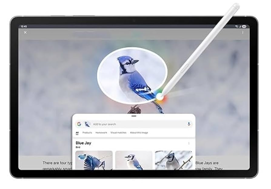 新品未使用！Samsung Galaxy Tab S10 FE付属 Sペン サムスン、Sペンが付属した10.9型/13.1型タブレット「Galaxy Tab