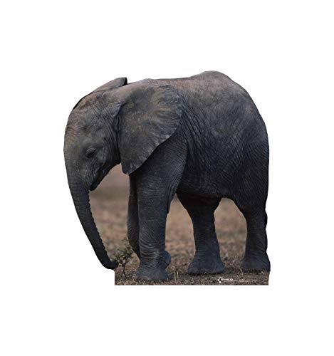 Cardboard People Elephant Life Size Cardboard Cutout Standup