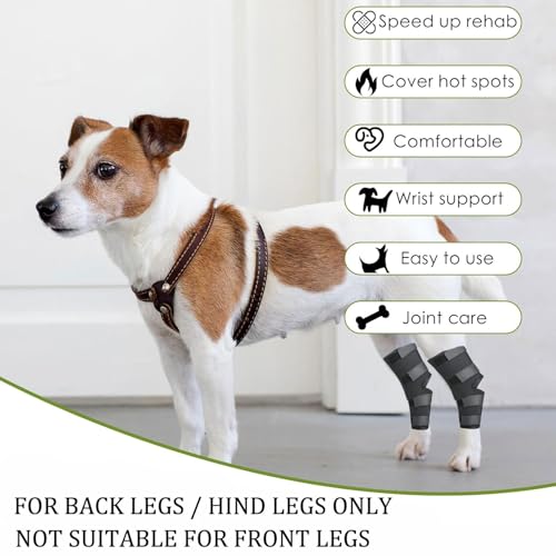 Image of 1 Pair Dog Leg Braces for Back Legs, Adjustable Hock Support Wrap for ACL Tear, Arthritis & Joint Pain Relief, Breathable Hind Leg Brace for Large & Senior Dogs (M)