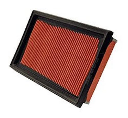 WIX 49225 Engine Air Filter Compatible with Chevrolet City Express (15-17), Nissan (07-19), Infiniti (14-19)