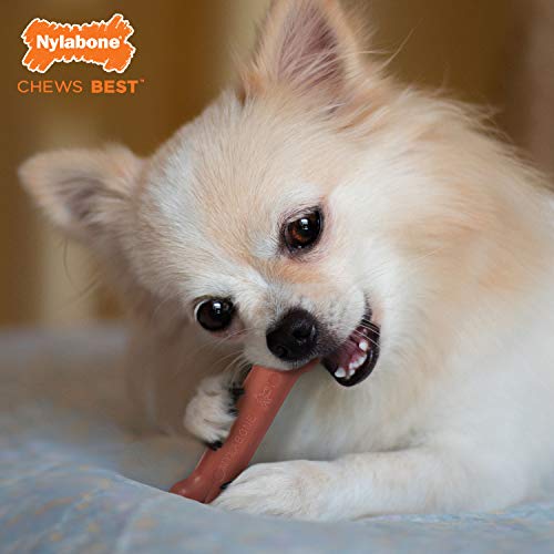 Image of Nylabone Power Chew Classic Bone Chew Toy for Dogs, Durable Dog Toys for Aggressive Chewers, Bacon Flavor, X-Small /Petite - Up to 15 lbs. (1 Count)