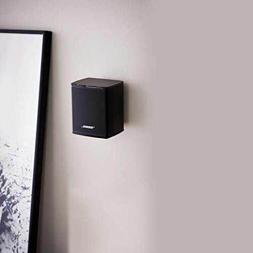 Amazon.com: Bose 768973-1110 Virtually Invisible 300