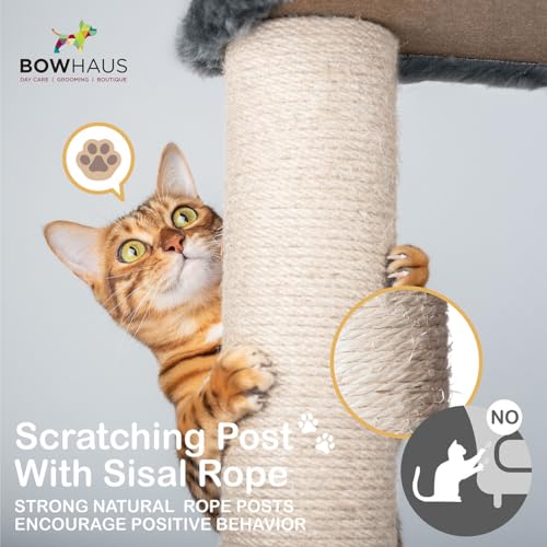 Image of BOWHAUS Tall Cat Tree for Indoor Large Cats or Kittens, Multi-Level Cat Activity Tree with Scratching Posts, Hammock, Cat Cave Condo, Modern Cute Small Cat Climbing Tower with Widened Perch