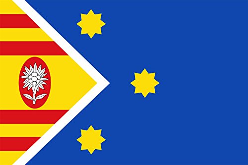Drapeau XL Asie finitions soignées grand format paysage - 2