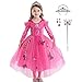 LiUiMiY Robe Princesse Fille Manches Longues Costume Déguisement Carnaval Halloween Fêtes Noël Anniversaire avec Accessoires, Rose, 104-110 (Étiqueter 110)