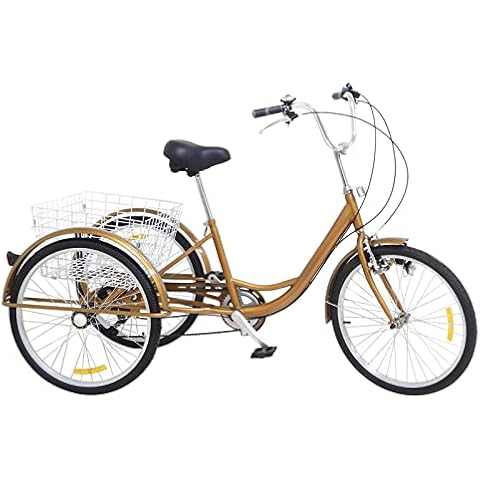 Tricycle adulte Froulaland 6 vitesses Cover