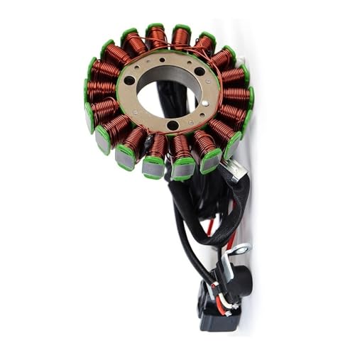 Stator de bobine pour WR 250R résout les pannes de batterie
