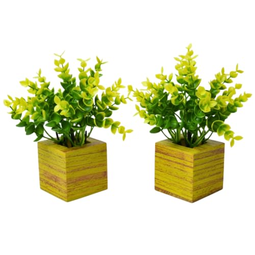 Image of DecoreBugs Artificial Eucalyptus Plant with Plastic Pot (Pack of 2) | 12 cm Height | Mini Potted Plants for Shelf Decor, Home, Office, Living Room, Desk & Table Item Decoration