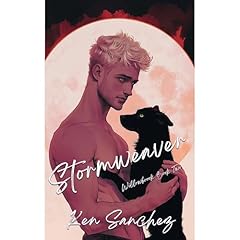 Stormweaver (Willowbrook Book Two) Audiolibro Por Ken Sanchez arte de portada