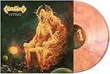Prosthetic Records