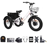 DWMEIGI Adult Electric Tricycle with 48V Removable Battery,750W Motor, Large Basket, Stable & Safe Design for Seniors, Commuting, Shopping and Daily Mobility (White)