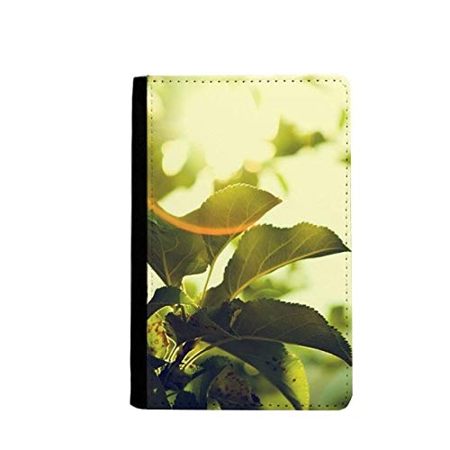 Étui portefeuille de voyage classique aux motifs de feuilles de haute précision