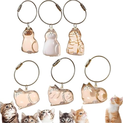 Llavero cápsula conmemorativa para conservar el recuerdo de tu mascota fallecida, 12 unidades 2