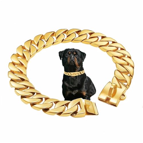 Collier de chien en métal doré pour sublimer le style de votre compagnon