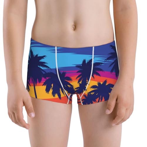 Boys' Cotton Boxer Brief Soft Underwear-Beach With Palm Trees