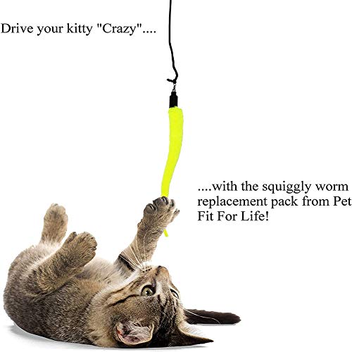 Brinquedos adequados para gatinhos brincarem com minhocas de reposição de 5 peças para gatinhos inte