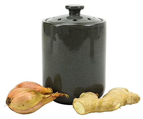Boston Warehouse Stoneware Garlic Keeper Canister, Grey Reactive Glaze #TOP2
