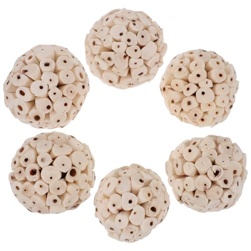 KAILIKETIY 6 HpVR\tg{[ pނ nX^[ ETM bg̎ł ̐Hibg ``P[WANZT