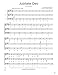 Rounds Plus Traditional Rounds and Ostinatos for Changing Voices | Choral Collection for Middle School and Youth Choirs | Vocal Harmony and Sight-Reading Practice