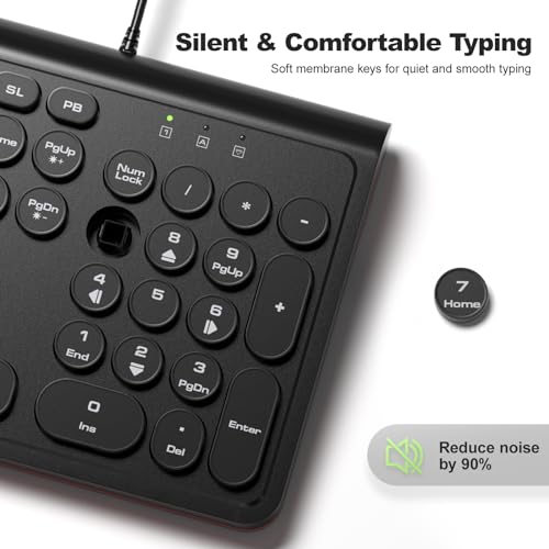 Image of Dilter USB Wired Computer Keyboard with Backlit - Full Size Office Keyboard with Number Pad, Caps Indicators, Foldable Stands, for PC Laptop Desktop Windows 7 8 10 11 (Black)
