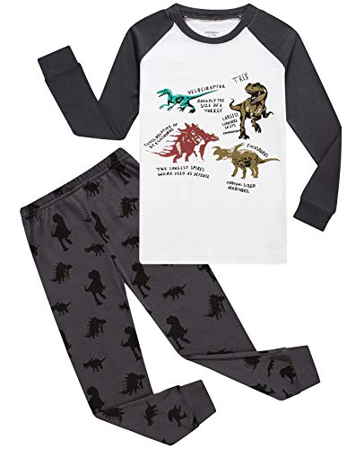Boys Pajamas Long Sleeve 100% Cotton Dinosaur Toddler Pjs Kids Clothes Pants Set 4T Gray