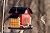 Bird Feeders for Outdoors Hanging, 5LBS Large Bird Feeder with 2 Suet Cage, Red Barn Metal Birds Feeder for Outside, Weather Resistant Cardinal Feeders, ldeal Birds Watching Gifts (Red)