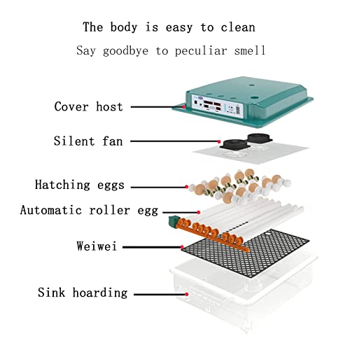YYSS Brutmaschinen Brutmaschinen für große Eier Automatisches Wenden und Feuchtigkeitsluke 6-232 Eier zum Schlüpfen von… – Bild 3