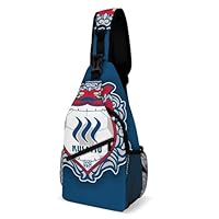 Amazon.co.jp: サンフレッチェ広島 ショルダーバッグ 肩掛けかばん