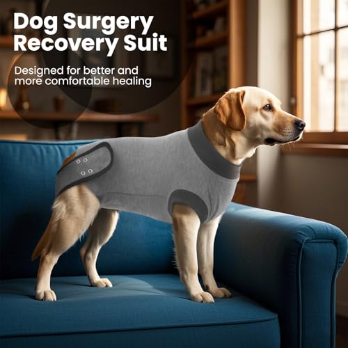 Image of IDOMIK Dog Recovery Suit for Neuter Spay,Anti-Licking Dog Surgical Bodysuit