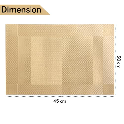 Image of HOKIPO PVC Washable 6 Pieces Dining Table Mats - 45x30 cm, Champagne Gold (AR-6713-GLDN*6)