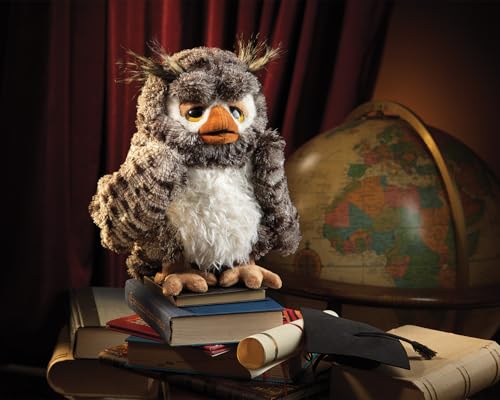 Wise Owl Puppet B0DVRZPMHZ Book Cover