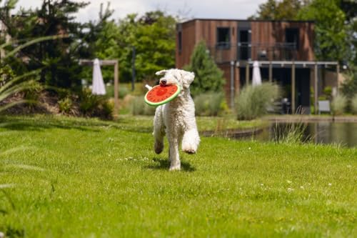 Karlie 2in1 Frisbee Melone mit Noppenball - 25 cm