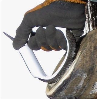 Bar and Sole Rasp-1 'Original'