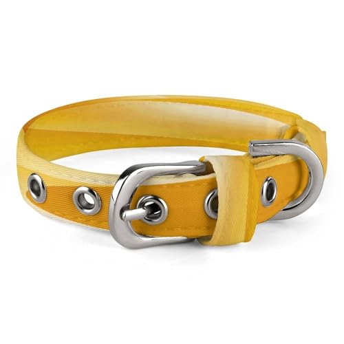 Collar para mascotas transpirable de tela Oxford suave ajustable con hebilla resistente 2