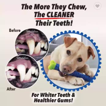 Image of Non-Toxic Rubber Resistant Interactive Dog Toothbrush Cleaning Stick