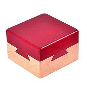 Amazon.co.jp: パズルボックス - 脳トレパズル: おもちゃ