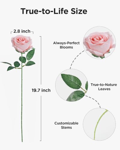 Image of InnoGear 50 Pcs Blush Roses Artificial Flowers, Fake Velvet Silk Rose Bulk Faux Flower for Mother's Gift Decoration DIY Wedding Centerpieces Proposal Bridal Bouquets Party Floral Decor (50, Blush)