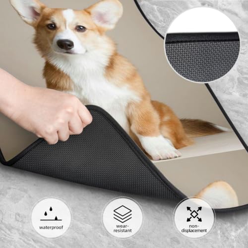 Alfombrillas para coche de corgi protegen el suelo contra suciedad y agua 4