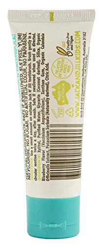Image of Jack N Jill Natural Toothpaste, Blueberry & Raspberry, 1.76 oz (Pack of 2)