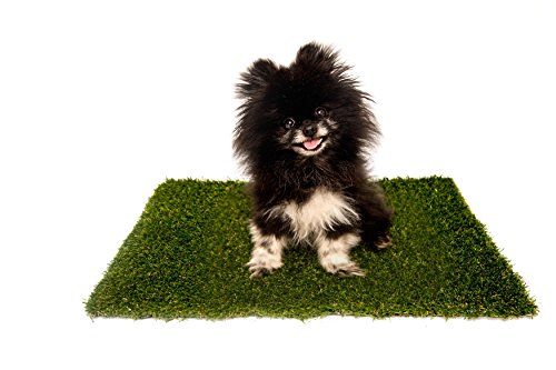 petmaker replacement grass